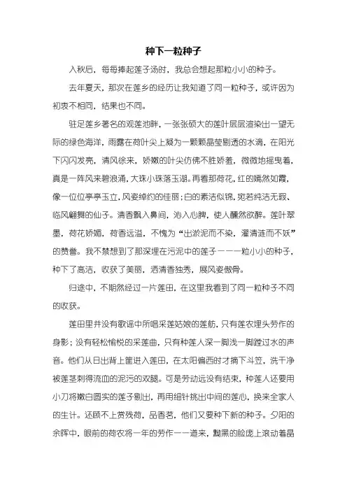 初三作文：种下一粒种子作文600字