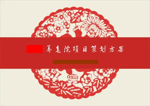 洪山区某养老院项目策划方案