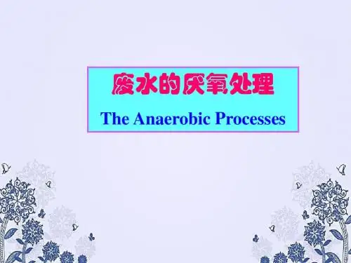 废水的厌氧处理PPT课件