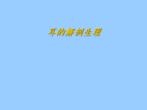 耳部解剖PPT课件