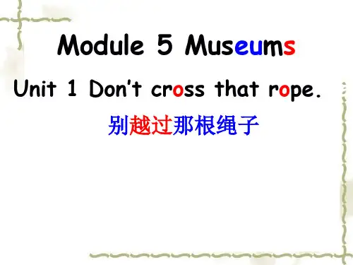 外研版九年级上册 Module 5 Museums Unit 1(共33张PPT)