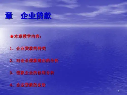企业贷款培训课件(PPT 49张)