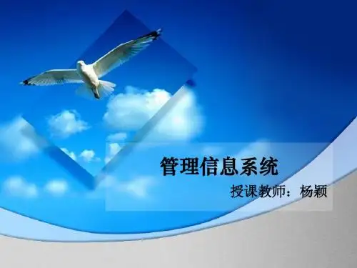 管理信息系统10