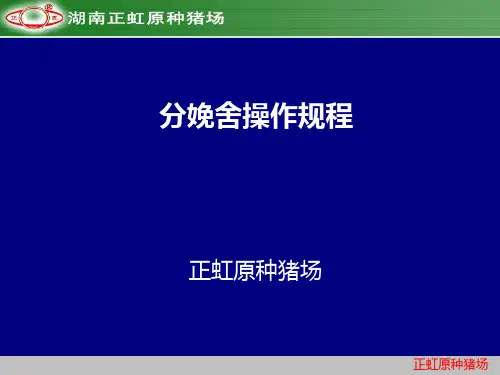 分娩舍操作规程PPT课件