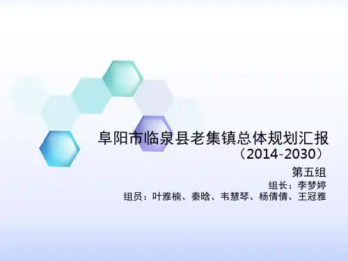 老集镇总体规划汇报