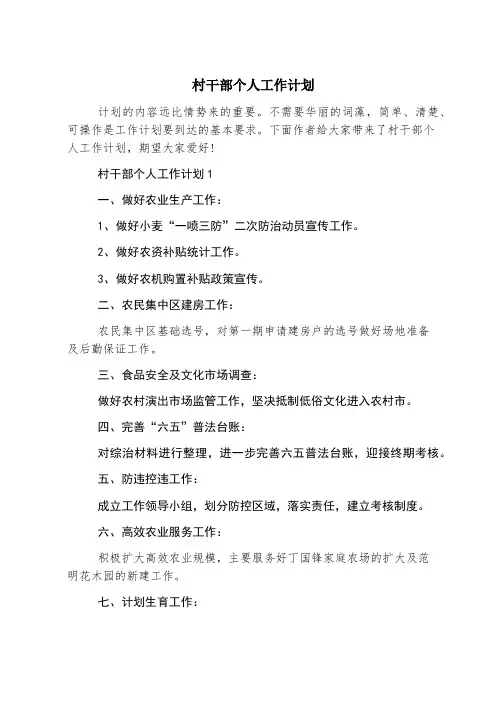 村干部个人工作计划