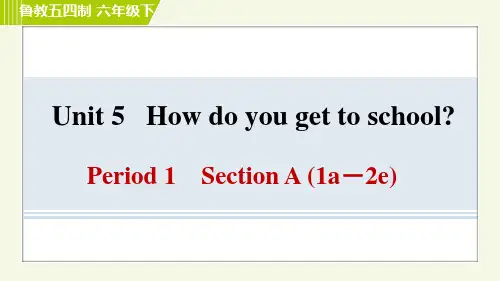 鲁教版六年级下册英语 Unit 5 Period 1 Section A(1a-2e) 习题课件