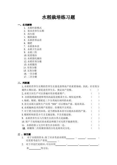 水稻栽培练习_114