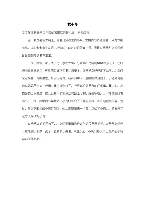小学二年级看图写话：救小鸟