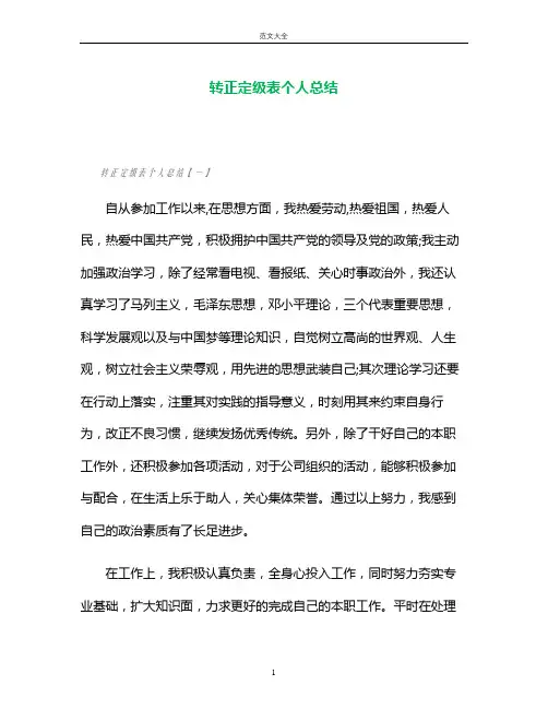 转正定级表个人总结