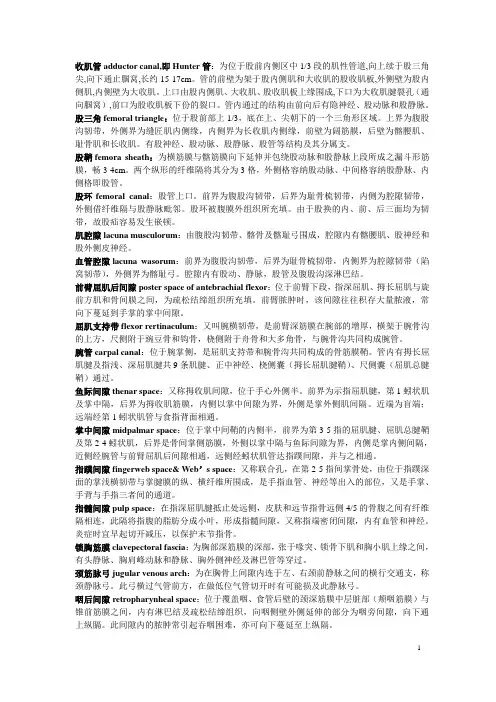 局解名词解释