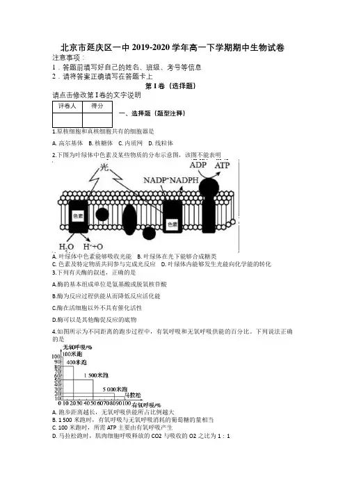 北京市延庆区一中2019-2020学年高一下学期期中生物试卷及解析