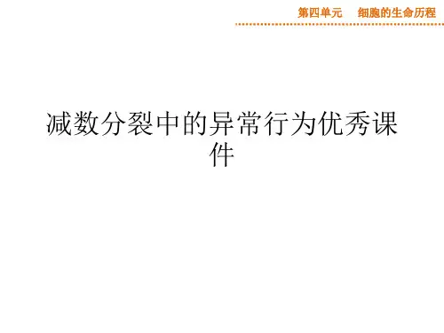 减数分裂中的异常行为优秀课件