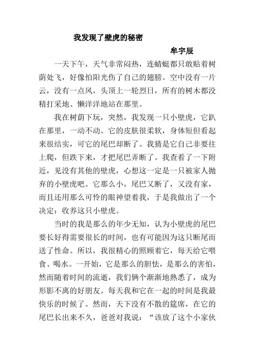 我发现了壁虎的秘密