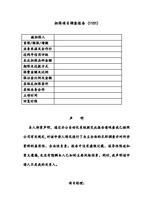 担保项目调查报告-模板