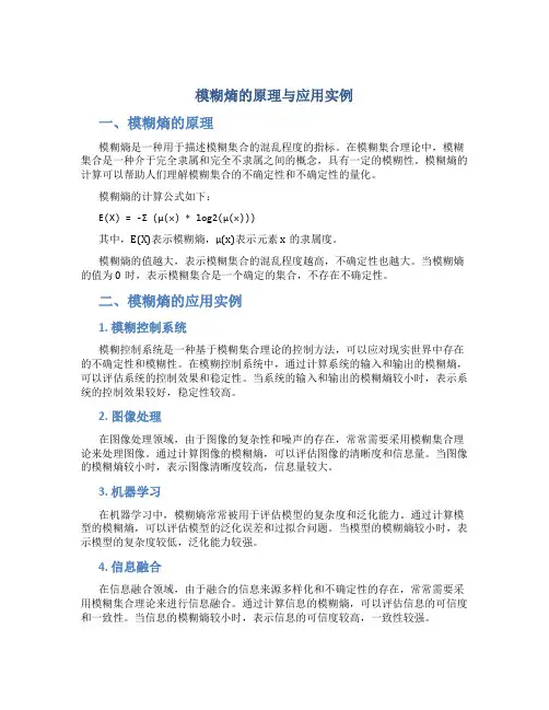 模糊熵的原理与应用实例