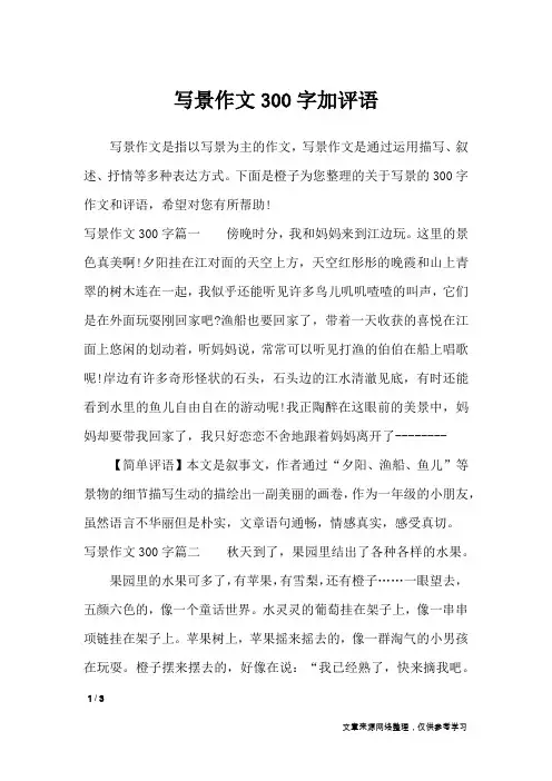 写景作文300字加评语_应用文
