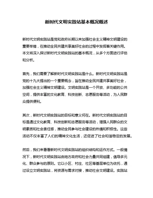 新时代文明实践站基本概况概述