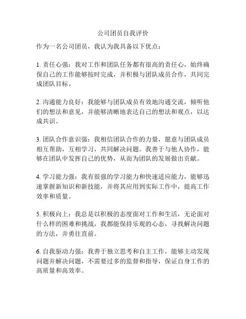 公司团员自我评价