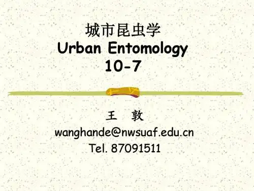 城市昆虫学-7