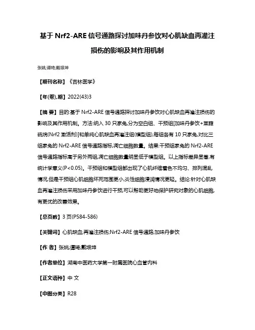 基于Nrf2-ARE信号通路探讨加味丹参饮对心肌缺血再灌注损伤的影响及其作用机制