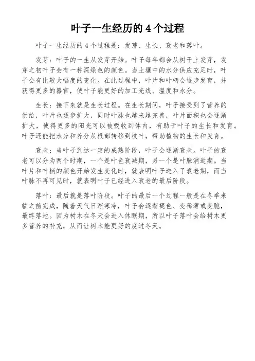 叶子一生经历的4个过程