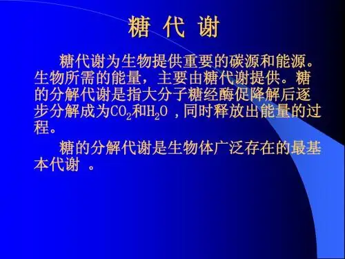 生物化学6.0糖代谢