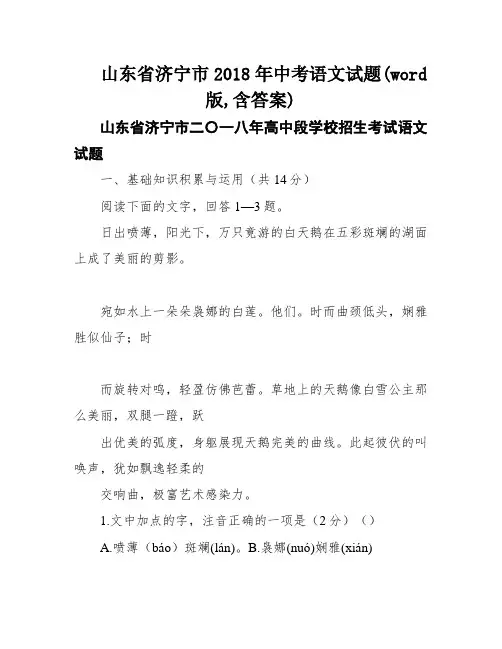 山东省济宁市2018年中考语文试题(word版,含答案)