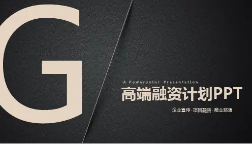 今日头条融资计划ppt