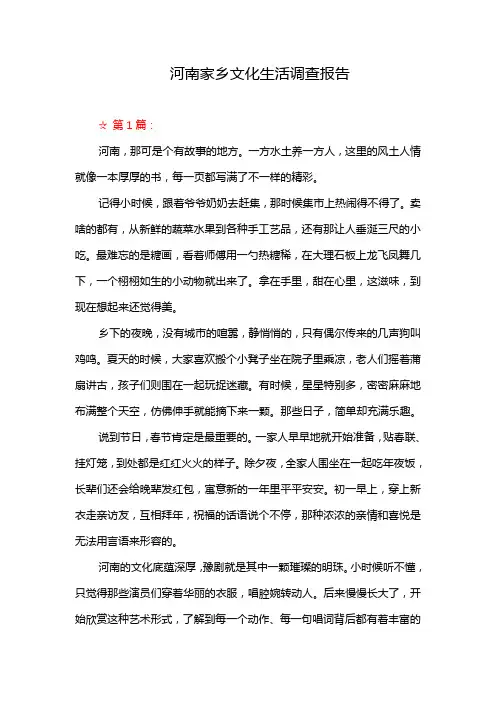河南家乡文化生活调查报告