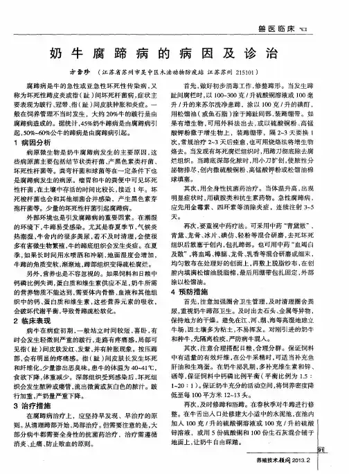 奶牛腐蹄病的病因及诊治