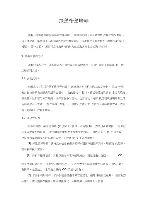 绿藻栅藻培养