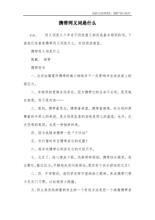 携带同义词是什么
