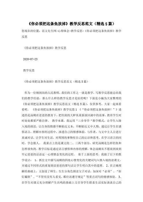 《你必须把这条鱼放掉》教学反思范文(精选5篇)