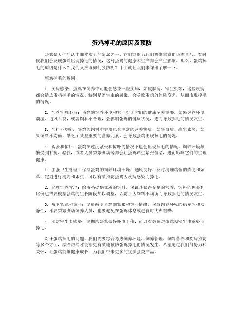 蛋鸡掉毛的原因及预防