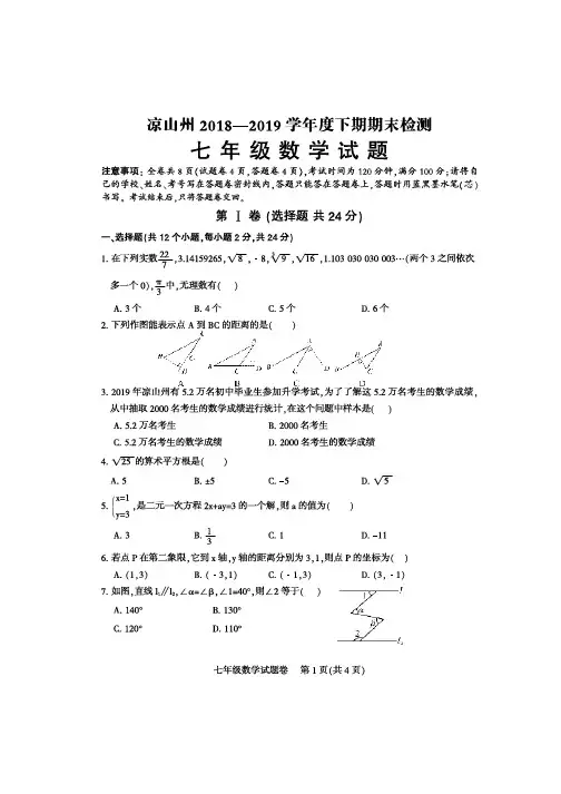 凉山州2018-2019学年度下期期末统一检测七年级数学试题及答案