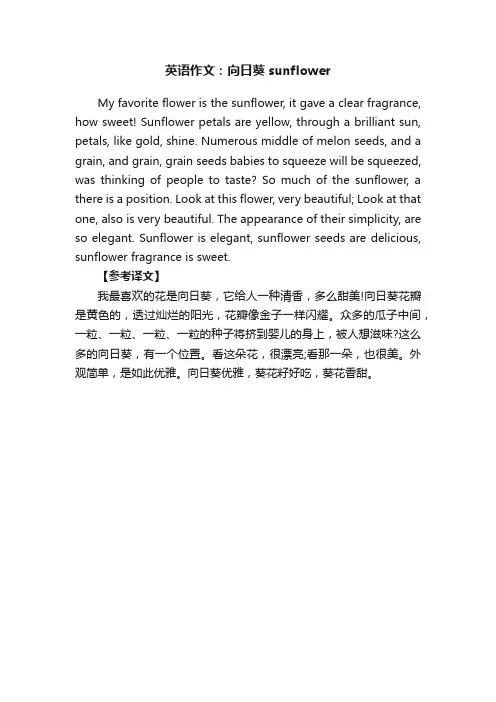 英语作文：向日葵sunflower