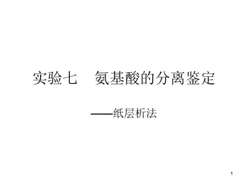 氨基酸含量的测定及分离鉴定ppt课件
