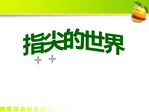 《指尖的世界》PPT课件三