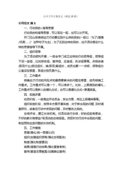 公司工作方案范文（精选19篇）