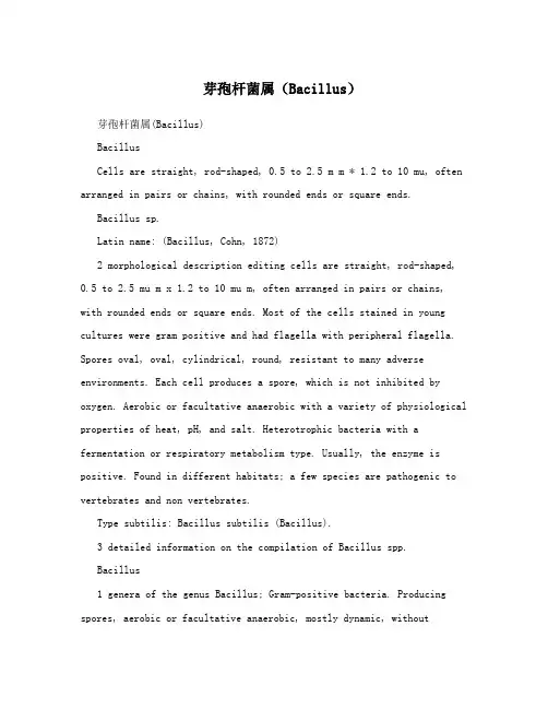 芽孢杆菌属(Bacillus)