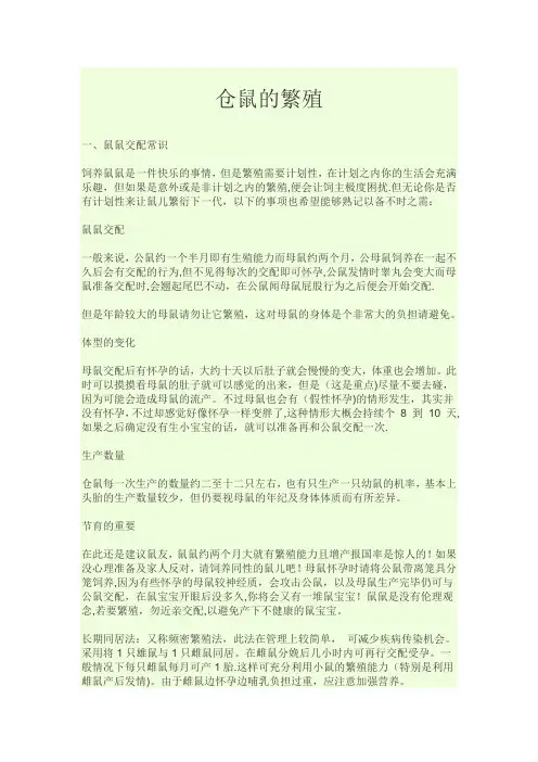 仓鼠的繁殖