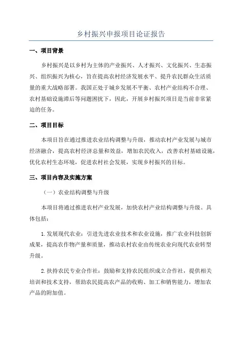 乡村振兴申报项目论证报告