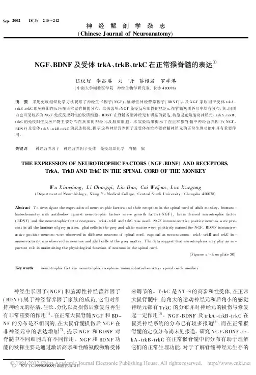 NGF_BDNF及受体trkA_trkB_trkC在正常猴脊髓的表达