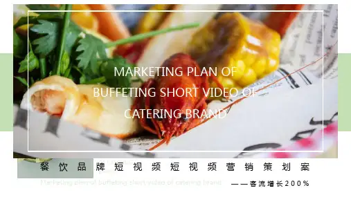 餐饮品牌抖音短视频营销推广方案