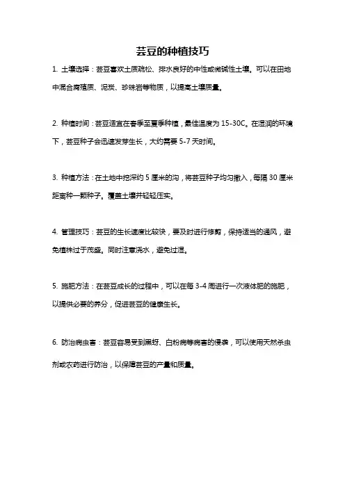 芸豆的种植技巧