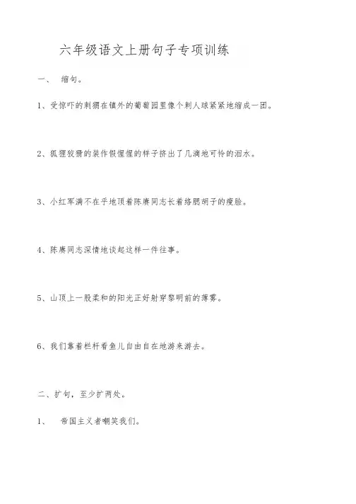 六年级语文上册句子专项练习(附答案)