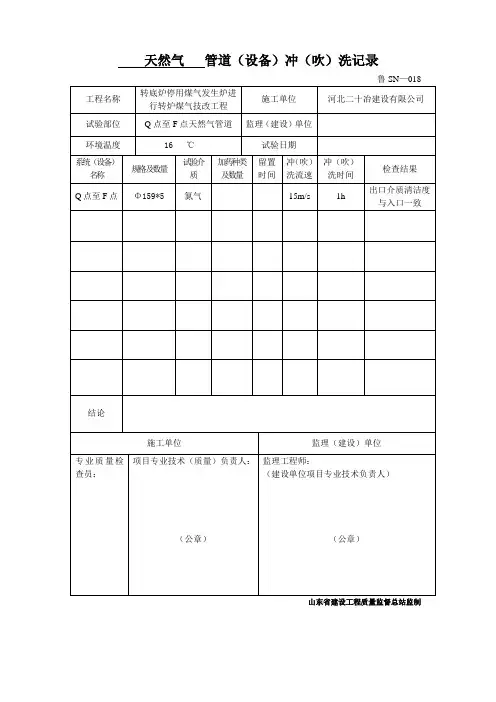 管道、设备吹扫冲洗记录