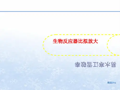 生物反应讲义器比拟放大