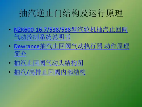 抽汽逆止门